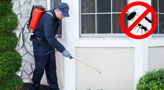 Karacabey Dezenfeksiyon böcek ilaçlama ve haşere kontrolü — ilaclama-tr.com